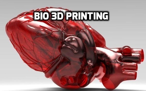 3D-Bioprinting1.jpg